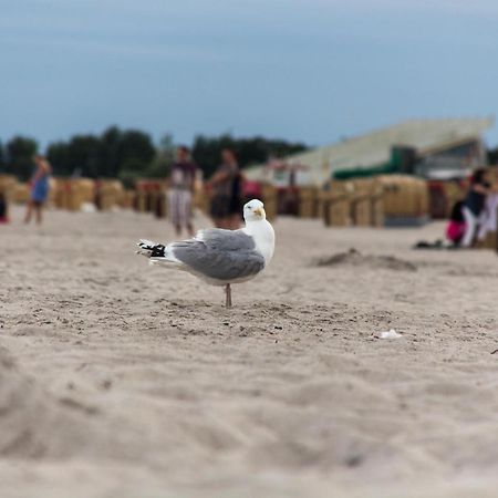 Ferienwohnungen-Neue-Tiefe-Wohnung-Kleiderbuegel Neue Tiefe Fehmarn Eksteriør billede